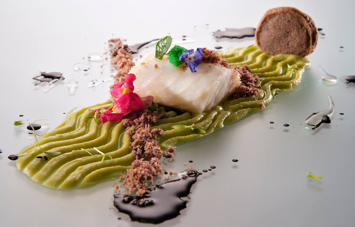 XENIA S.A.S. di Pasotti Edoardo e C | Taste